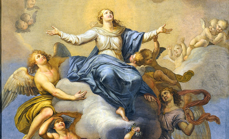Reflectionhomily For The Solemnity Of The Assumption Of The Blessed